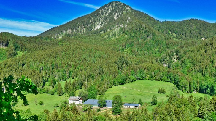 Ländliche Idylle: Der Betrieb von Jürgen Kienbink liegt in den österreichischen Alpen.