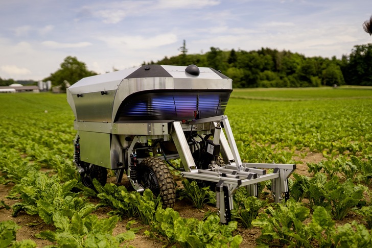 Kein neuer Star-Wars-Film, sondern die Zukunft der Landwirtschaft: Der Agrarroboter Rosie fährt völlig eigenständig übers Feld – am liebsten mit Solarstrom. - © Foto: Ecovolta
