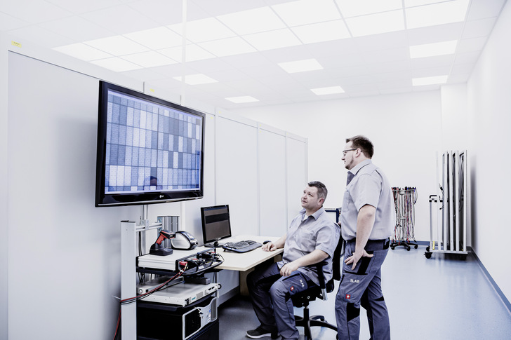 Auswertung eines EL-Bildes aus der Klimakammer des Sunlab.