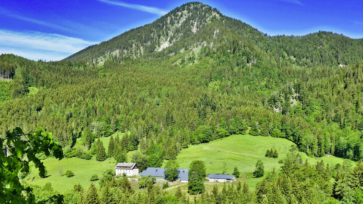 Ländliche Idylle: Der Betrieb von Jürgen Kienbink liegt in den österreichischen Alpen.
