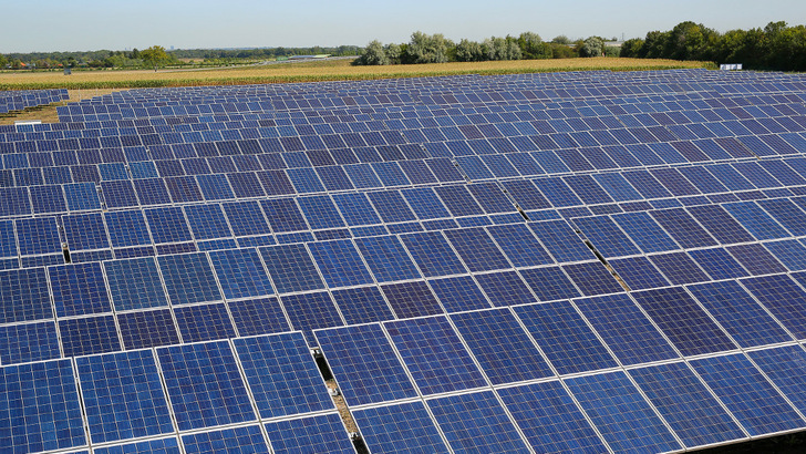 Durch die Installation des Solarparks kommt die einstige Landwirtschaftsfläche zur Ruhe. Flora und Fauna danken es. - © Wien Energie/Ludwig Schedl
