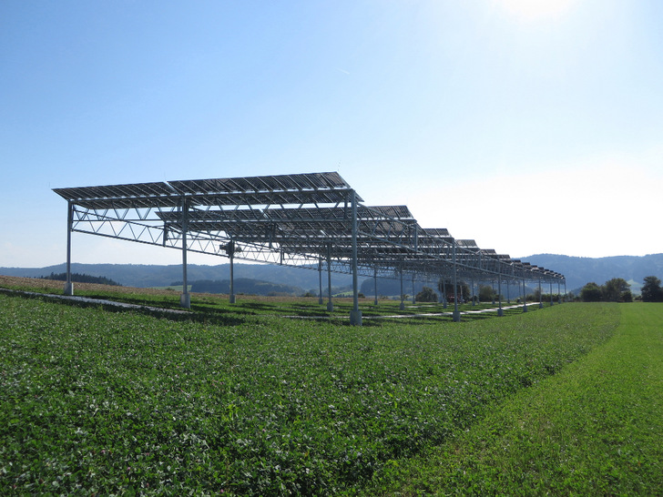 Mit dieser Anlage haben die Forscher des Fraunhofer ISE die Auswirkung der Photovoltaik auf die landwirtschaftlichen Ernteerträge untersucht. - © Fraunhofer ISE
