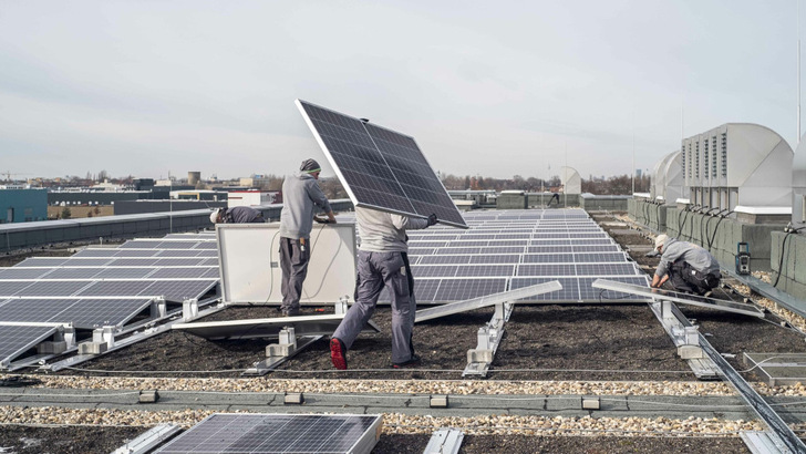 Noch ist alles neu. Doch in wenigen Monaten sind die Pflanzen gewachsen. Dann kann die Kombination mit der Solaranlage maximal zur Verbesserung des Klimas beitragen.
