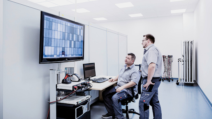 Auswertung eines EL-Bildes aus der Klimakammer des Sunlab.