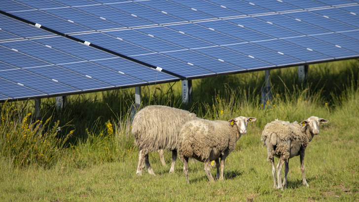 Grünpfleger im Einsatz.