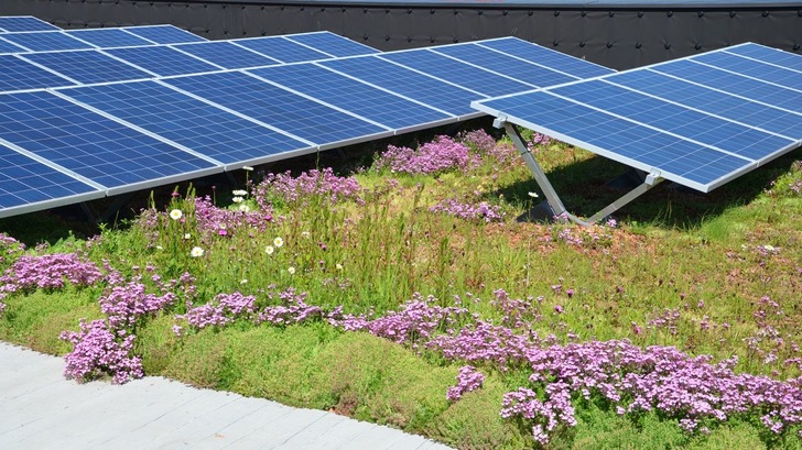 Eine Dachbegrünung kombiniert mit einer Solaranlage eröffnet viele Möglichkeiten. - © Bauder
