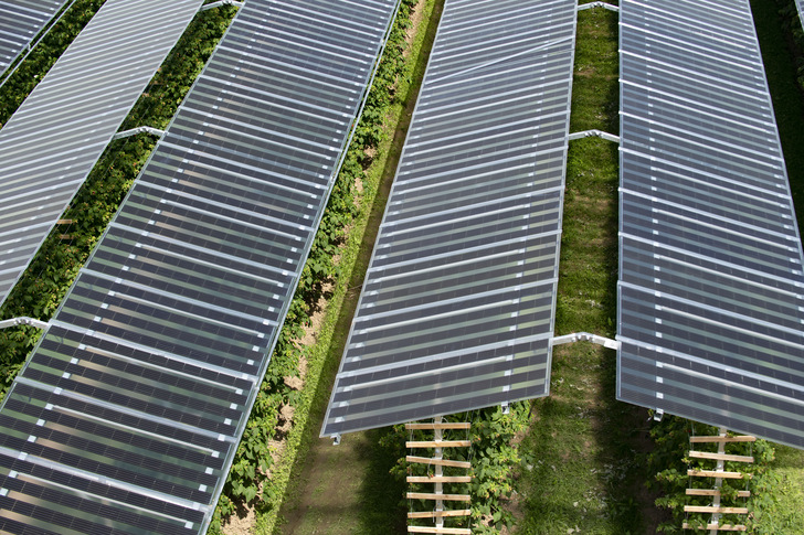 Ausgezeichnetes Projekt: Himbeerfarm mit Fruit-PV von Baywa r.e.