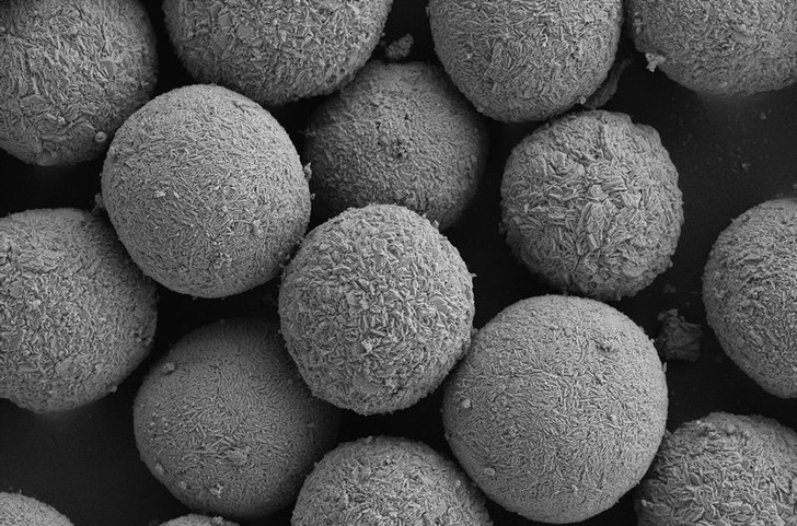 Eine rasterelektronenmikroskopische Aufnahme der Partikel eines kobaltfreien Kathodenmaterials. - © ZSW
