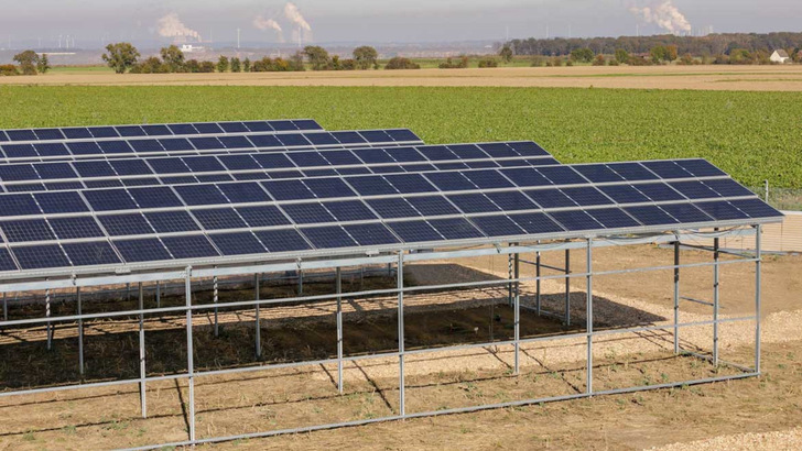 Die fest aufgeständerte Anlage steht auf verlängerten Montagepfosten, so dass auch Agrarmaschinen darunter passen.