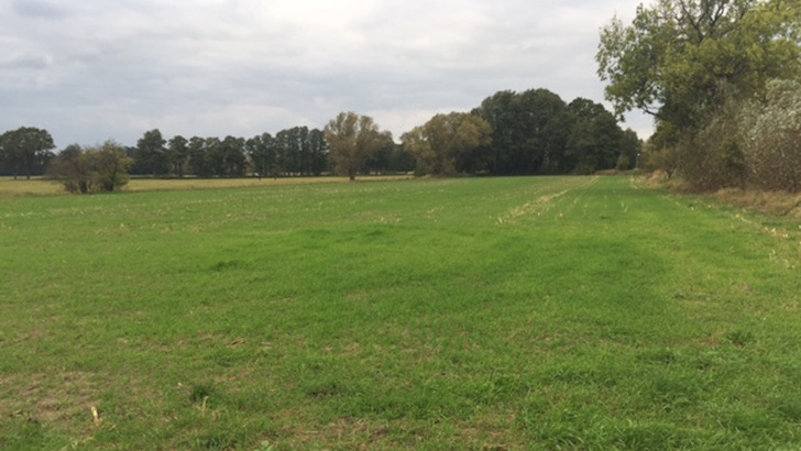 Noch ist es eine Brache: Hier soll ein Solarpark entstehen.