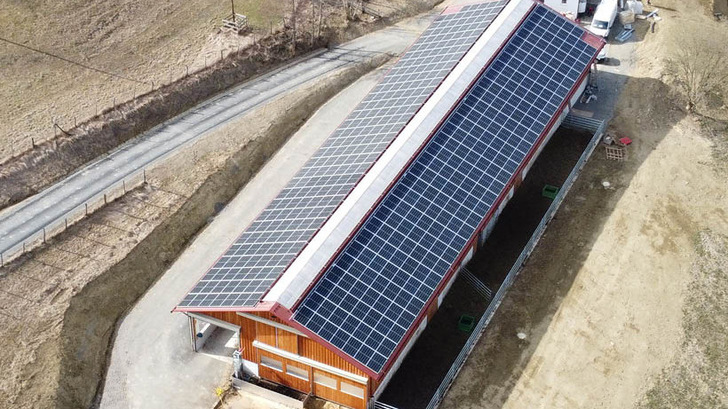 Die neue Dachanlage von Zotter macht den Stall komplett energieautark. Den überschüssigen Solarstrom verwendet das Unternehmen in der Produktion. - © Zotter Schokladenmanufaktur
