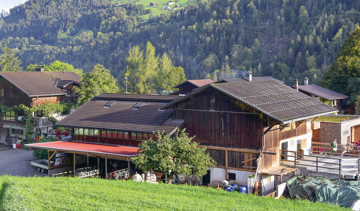 Der Kristahof in Vorarlberg: Dieses Gebäude wurde neu eingedeckt und mit Photovoltaik ausgestattet. - © Foto: Darvid Huhn
