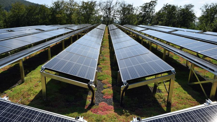 Mit der Kombination aus Dachbegrünung und Photovoltaik wird eine Fläche dreifach genutzt.