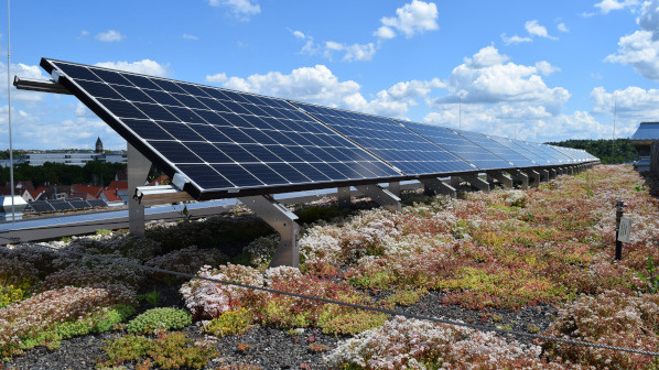 Mit der Kombination von Gründächern mit Photovoltaik müssen sich Immobilieneigentümer und Bauherren nicht mehr für eine der beiden Optionen entscheiden - und haben zusätzlich noch Vorteile. - © BuGG
