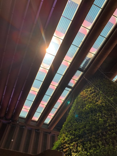 Organische Solarelemente als Oberlichter im Expo-Pavillon der Niederlande in Dubai.
