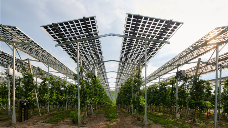 Vor allem hoch aufgeständerte Solaranlagen haben es schwer, sich in den Ausschreibungen durchzusetzen — trotz Technologiebonus. - © Bernd Schumacher
