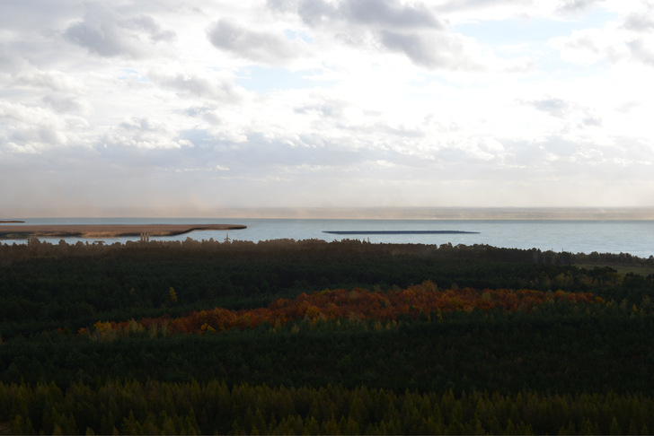 Die Größe des Cottbuser Sees ermöglicht einen größtmöglichen Abstand zu allen touristisch genutzten Ufern. - © EPNE
