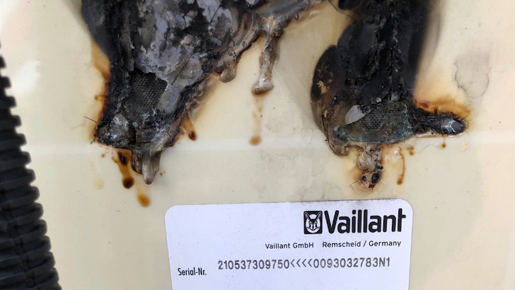 Hier hat sich eine defekte Lötstelle zum Brandherd ausgewachsen.