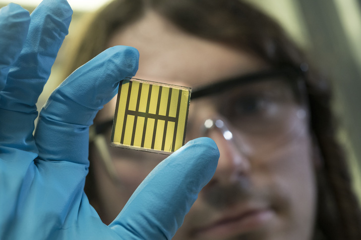 Ein Wissenschaftler betrachtet Rückseite einer Perowskit-Solarzelle in charakteristischem Braunton und goldenen Rückelektroden. - © KIT
