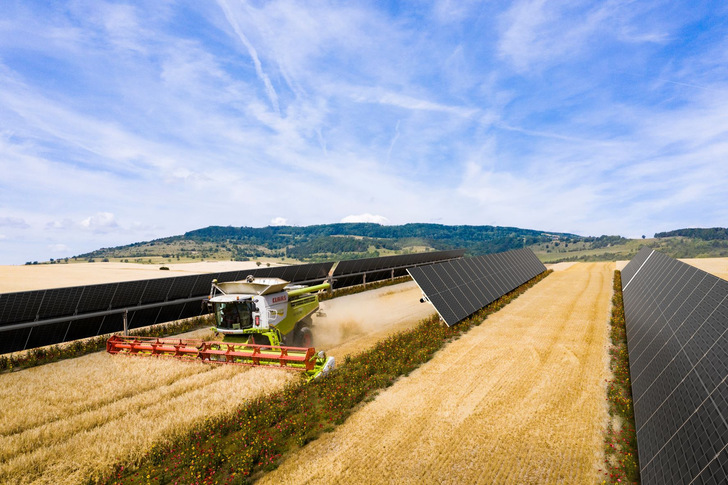 Das Pilotprojekt in Spanien verbindet biologische Vielfalt und Agri-PV in einer neuen Größenordnung. - © Baywa r.e.
