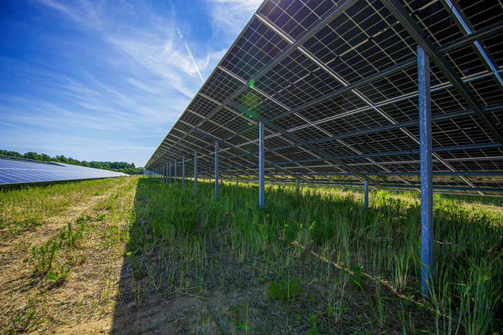 Der Solarpark in Kleinlangheim stellt eine Leistung von fünf Megawatt bereit. Er entstand mit bifazialen Modulen. - © Foto: Belectric
