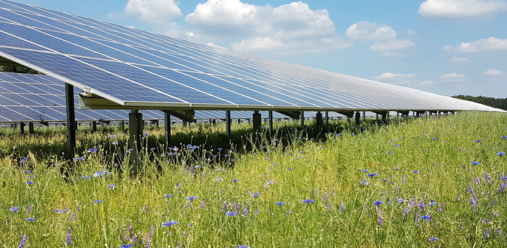 Mit der Anhebung der Höchstwerte soll das Auktionsvolumen besser ausgereizt werden. - © EnBW
