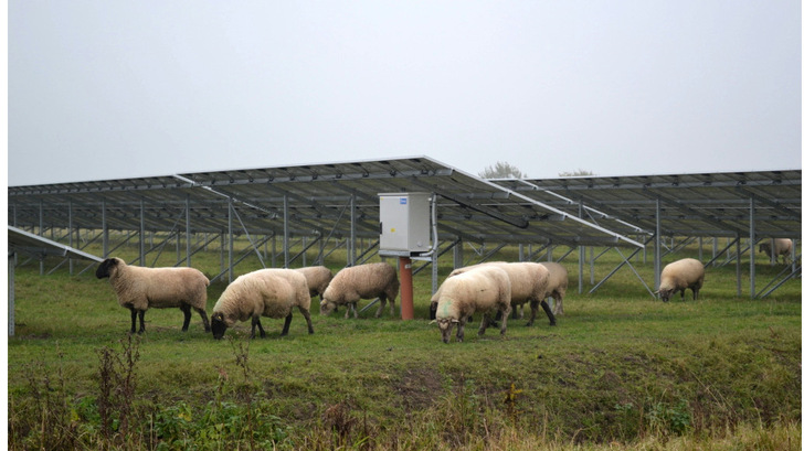 Solarparks sind in der Schweiz ein eher seltener Anblick. An den Ausschreibungen können aber auch kleinere Anlagen teilnehmen. - © Velka Botička
