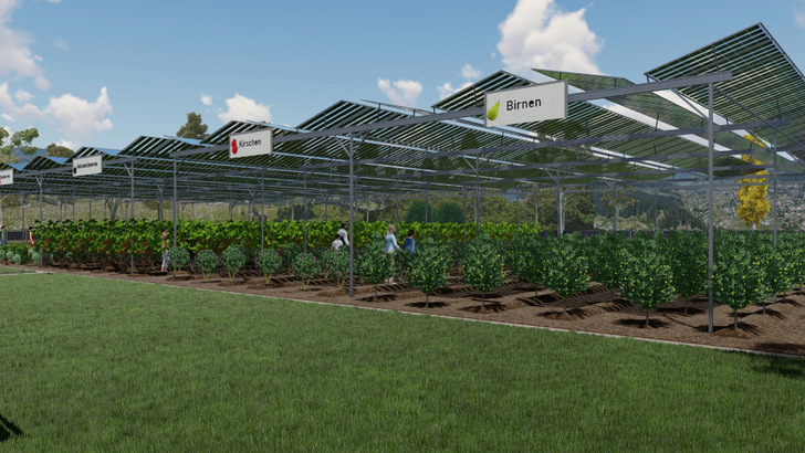 Die Beerenfelder werden mit Solarmodulen überdacht. Die Bürger können sich daran beteiligen. Das Erhöht die Akzeptanz.