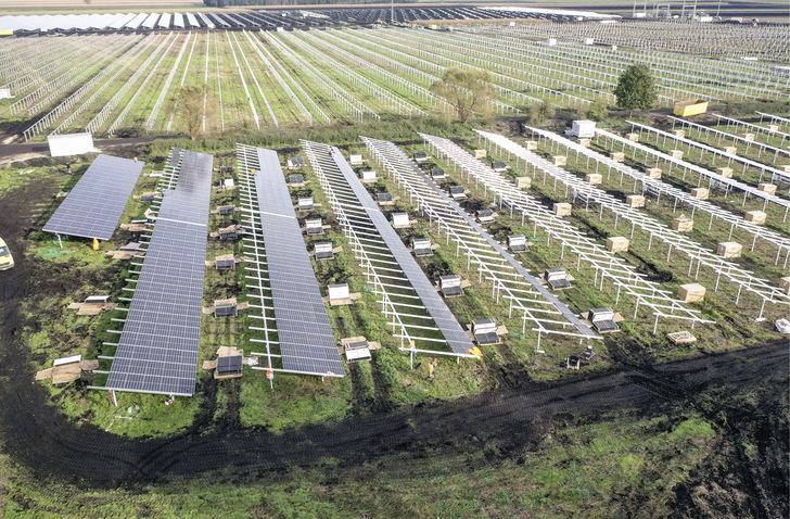 In den nächsten Jahren müssen viel mehr Solarparks gebaut werden. - © Foto: Delta
