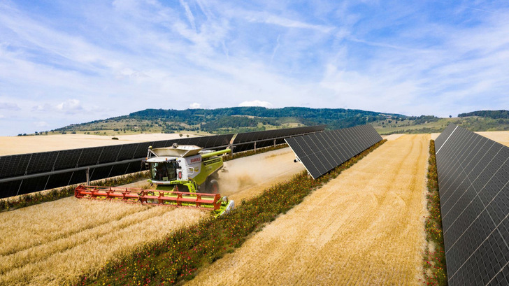 Ein Teil der Anlage in Andalusien wird als AgriPV gebaut. - © Baywa r.e.
