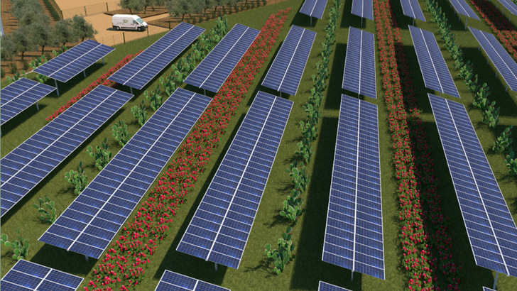 Solarmodule und Anbauflächen werden kombiniert.