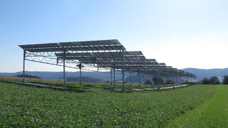 Agri-PV sichert für Jahrzehnte Flächen für die Biodiversität und Energiewende, ohne sie der Landwirtschaft zu entziehen. - © Fraunhofer ISE
