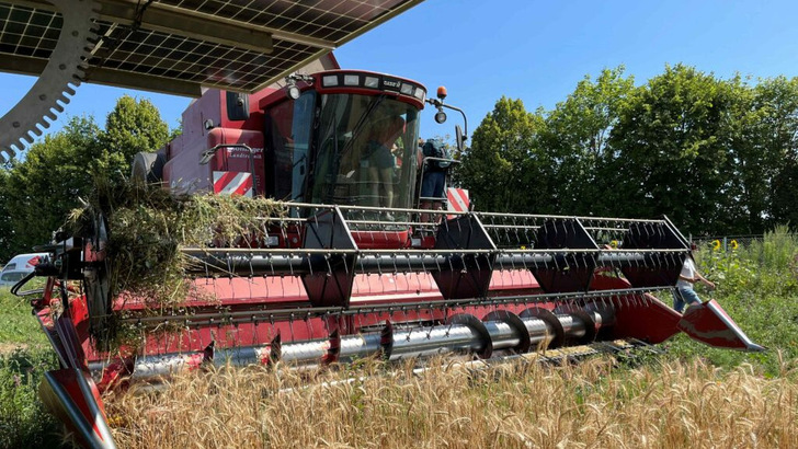 Die Tracker sind in eine Erntestellung gefahren, damit die Mähdrescher ungehindert ernten können. - © Verein Energiepark Bruck/Leitha
