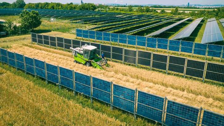 Die landwirtschaftliche Nutzung ist weiterhin problemlos möglich. Der Landwirt hat mit der Solaranlage noch ein zweites Einkommen. - © Wien Energie/Raphael Faschang
