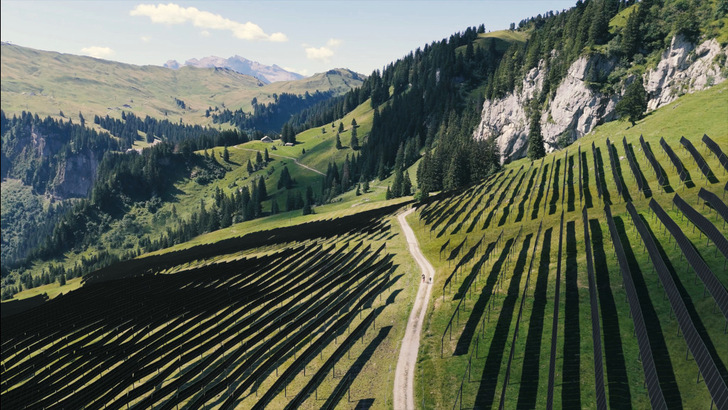 So wird der Solarpark Ybrig aussehen. Durch die hohe Aufständerung der Module kann die Wiese weiter beweidet werden.