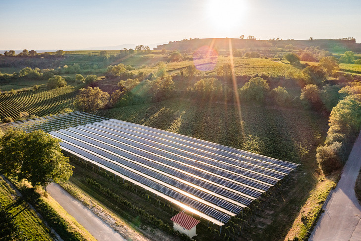 Eine Photovoltaikanlage über den Reben am Tuniberg bei Freiburg. - © Badenova
