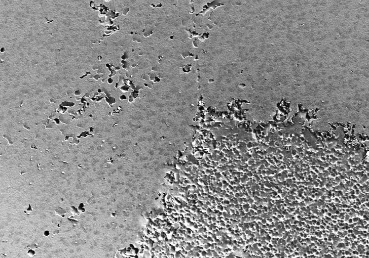 Im neuen Test wurden Materialproben von Modulkomponenten verschiedenen diagnostischen Methoden unterzogen, um Loch- und Flächenkorrosion zu analysieren. - © Fraunhofer CSP
