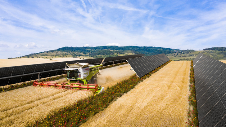 In drei neuen Projekten in Frankreich, Spanien und den Niederlanden will Baywa r.e. die Vorteile von Agri-PV zeigen. - © Baywa r.e.
