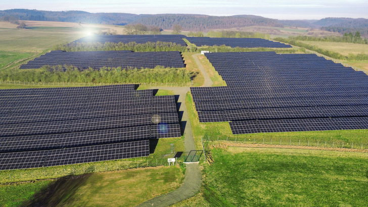 Bei der Entwicklung der Solarparks hat Belectric auch auf Biodiversität auf den Flächen geachtet. - © Belectric
