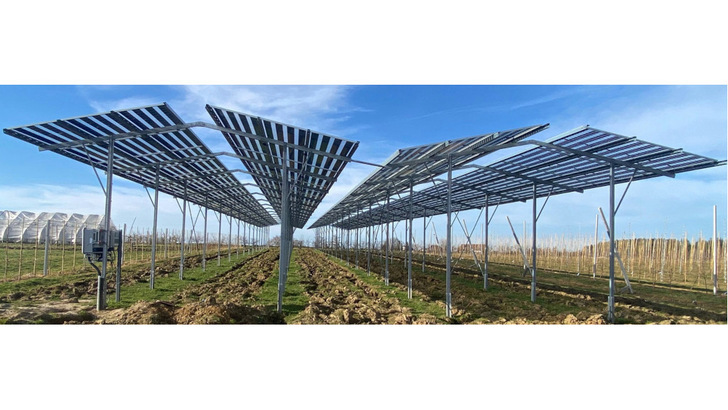  Die semitransparenten Module lassen jede Menge Licht zu den Pflanzen durch-