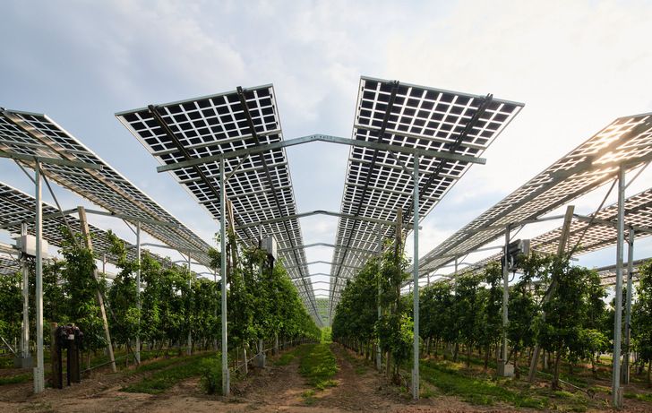 Die über Apfelbäumen auf dem Obsthof Bernhard in Kressbronn am Bodensee gebaute Agri-PV-Anlage ist Teil des Forschungsprojekts Modellregion Agri-Photovoltaik Baden-Württemberg. - © Fraunhofer ISE
