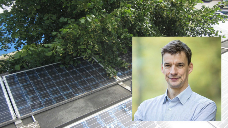  Bei etlichen Anlagen verändert sich die Verschattung im Laufe der Jahre.