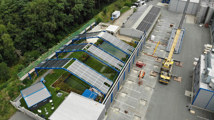 Ein Kran hievte das Untergestell aus Stahlrohr auf den Beckenrand.