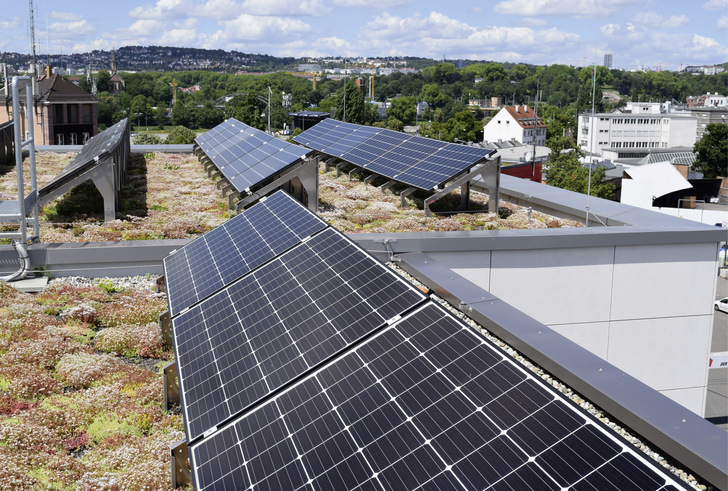 Auf Gründächern werden die Solarmodule in der Regel aufgeständert.