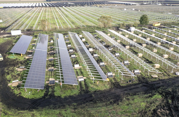 In den nächsten Jahren müssen viel mehr Solarparks gebaut werden.