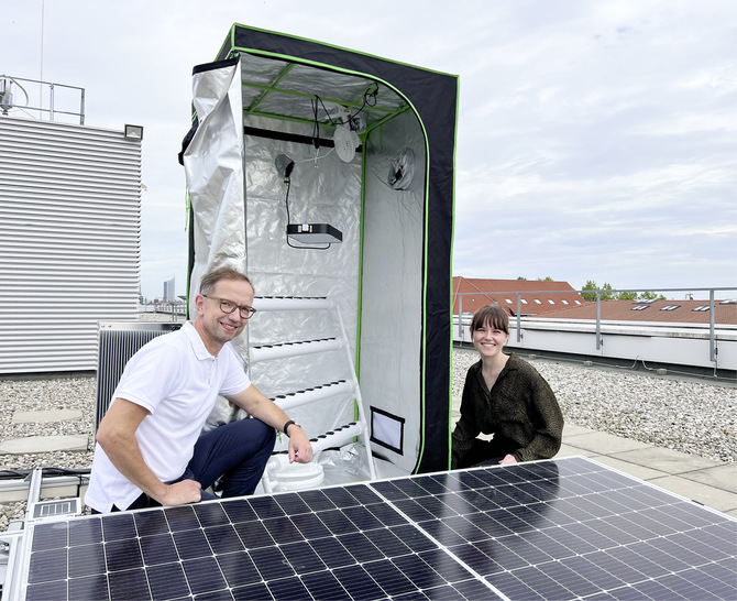 Lena Strobl (rechts) und Professor Mathias Rudolph an der Growbox, die mit Solarmodulen versorgt wird.