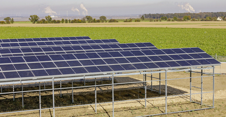 Forschungsanlage im Rheinischen Revier für Agri-PV. - © Foto: FZ Jülich/Ralf-Uwe Limbach