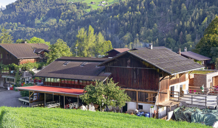 Der Kristahof in Vorarlberg: Dieses Gebäude wurde neu eingedeckt und mit Photovoltaik ausgestattet. - © Foto: Darvid Huhn
