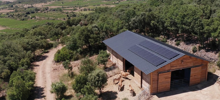 Auf dem Dach hätten noch mehr Module Platz. Doch die Anlage ist so ausgelegt, dass der Ertrag für den Betrieb der Wasserförderung und weiterer Geräte im Rinderstall ausreicht.