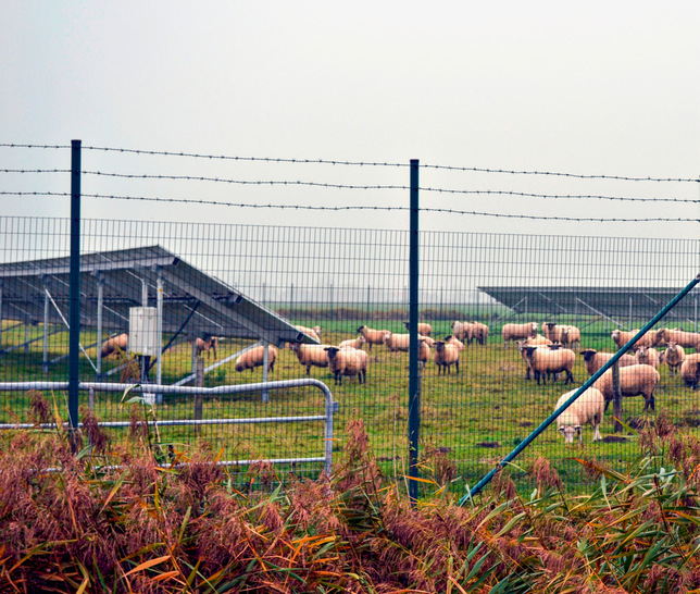 Ein Zaun sollte Übersteigschutz haben.  Absolute Sicherheit bietet aber auch das nicht. 
Doch: Wenn der Zaun überstiegen wird, liegt eine Straftat vor.